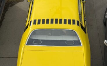 Plymouth-Other-1974-Coupe-2