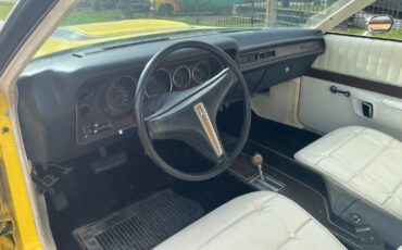 Plymouth-Other-1974-Coupe-3