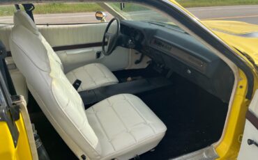 Plymouth-Other-1974-Coupe-4