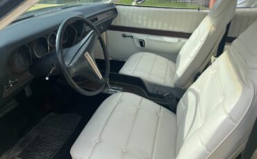 Plymouth-Other-1974-Coupe-5