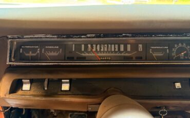 Plymouth-Road-Runner-1969-12