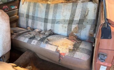 Plymouth-Road-Runner-1969-13