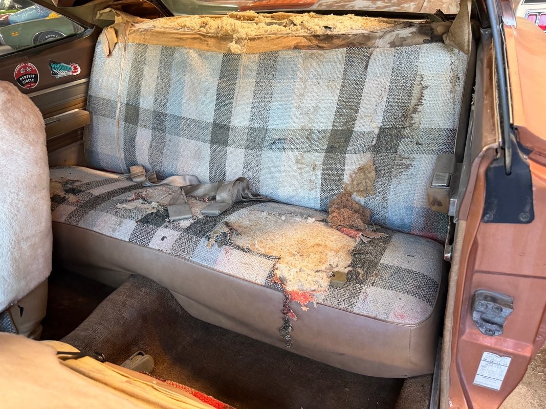 Plymouth-Road-Runner-1969-13