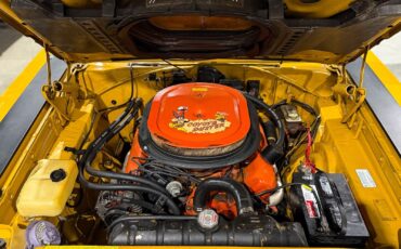 Plymouth-Road-Runner-1969-18