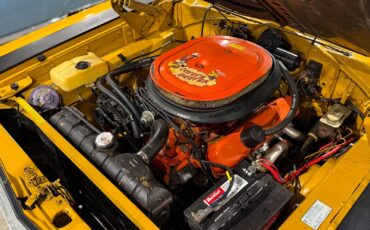 Plymouth-Road-Runner-1969-19