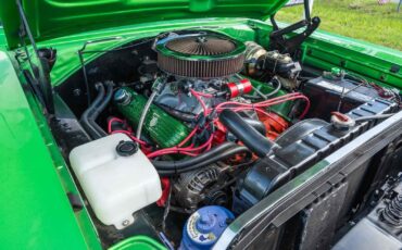 Plymouth-Road-Runner-1969-2-Door-12