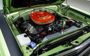 Plymouth-Road-Runner-1969-Coupe-28