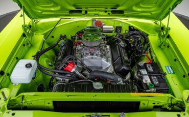 Plymouth-Road-Runner-1970-Coupe-31