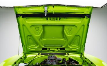 Plymouth-Road-Runner-1970-Coupe-39