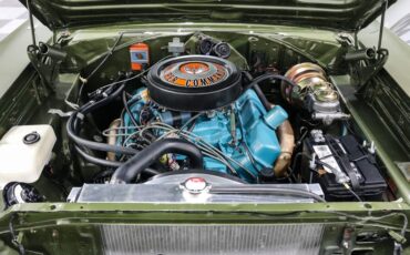 Plymouth-Road-runner-1968-Green-White-11