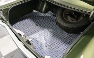 Plymouth-Road-runner-1968-Green-White-24