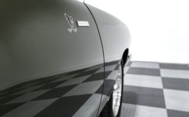 Plymouth-Road-runner-1968-Green-White-9