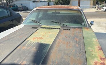 Plymouth-Satellite-1973-Sedan-2