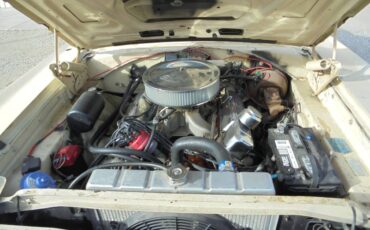 Plymouth-roadrunner-1970-yellow-14