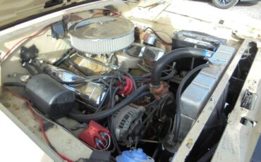 Plymouth-roadrunner-1970-yellow-15