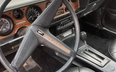 Pontiac-1975-7