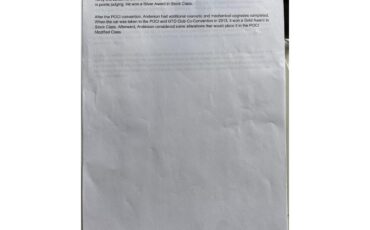 Pontiac-Catalina-1966-white-black-18