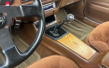 Pontiac-Firebird-1975-Sedan-10