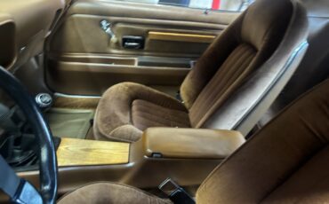 Pontiac-Firebird-1975-Sedan-14