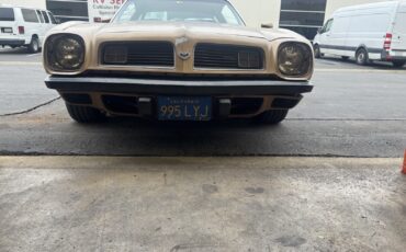 Pontiac-Firebird-1975-Sedan-5