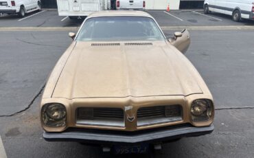 Pontiac-Firebird-1975-Sedan-6