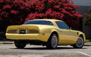 Pontiac-Firebird-1977-2D-Coupe-10