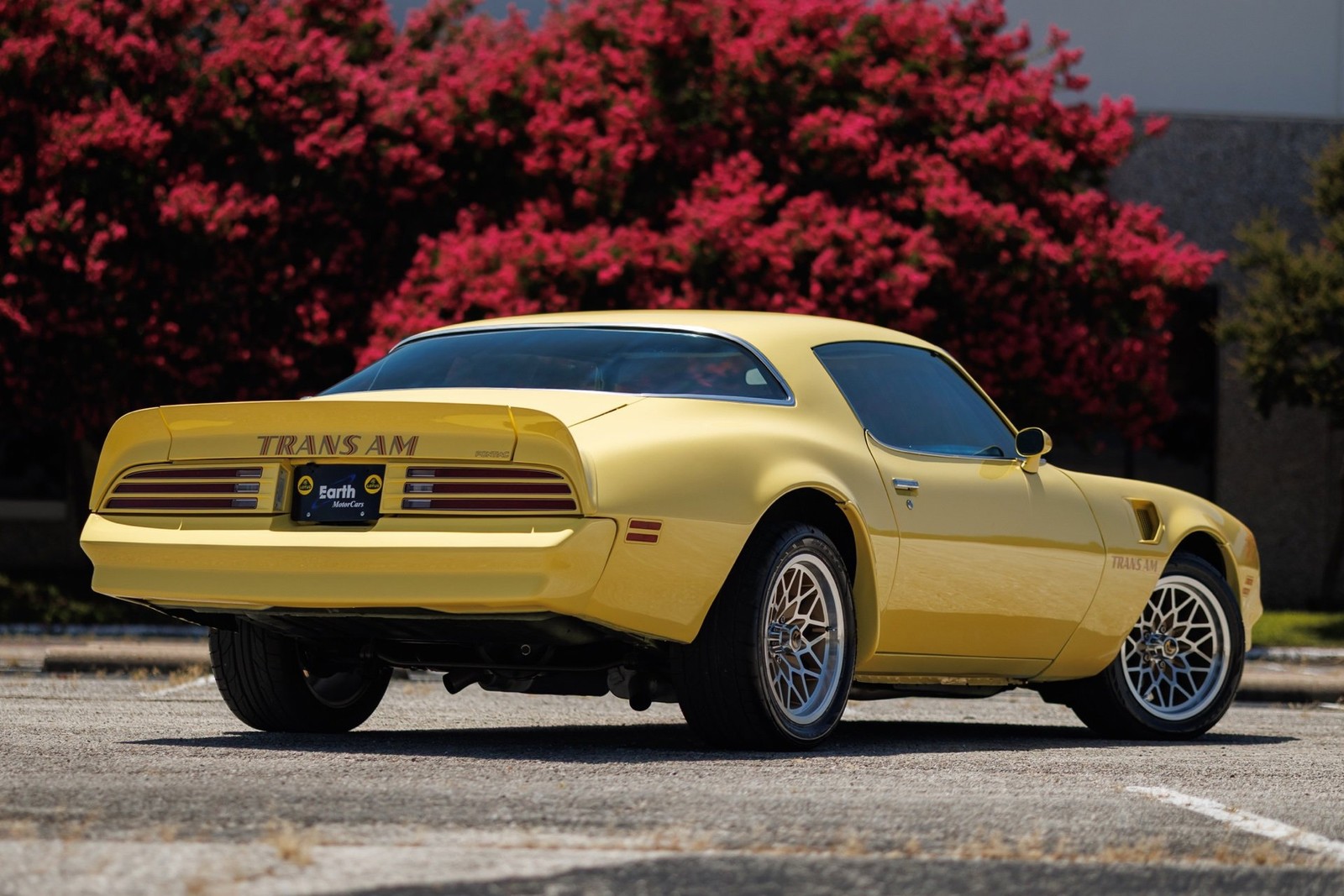 Pontiac-Firebird-1977-2D-Coupe-10