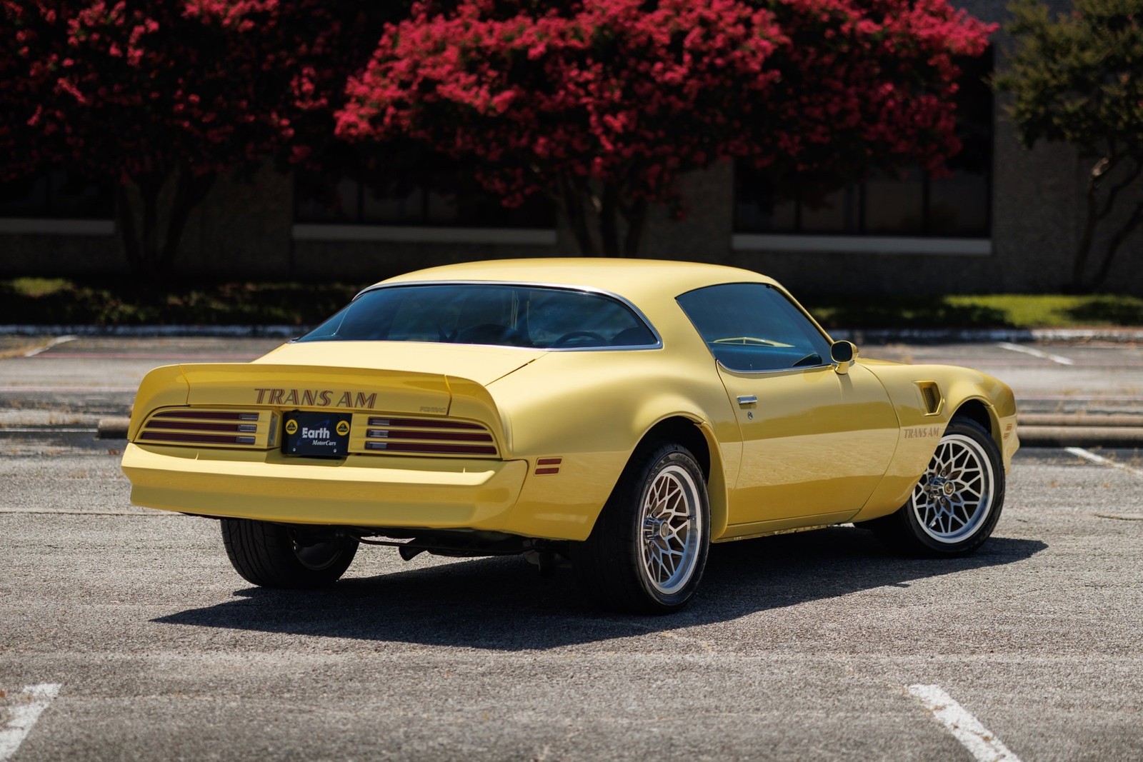 Pontiac-Firebird-1977-2D-Coupe-11
