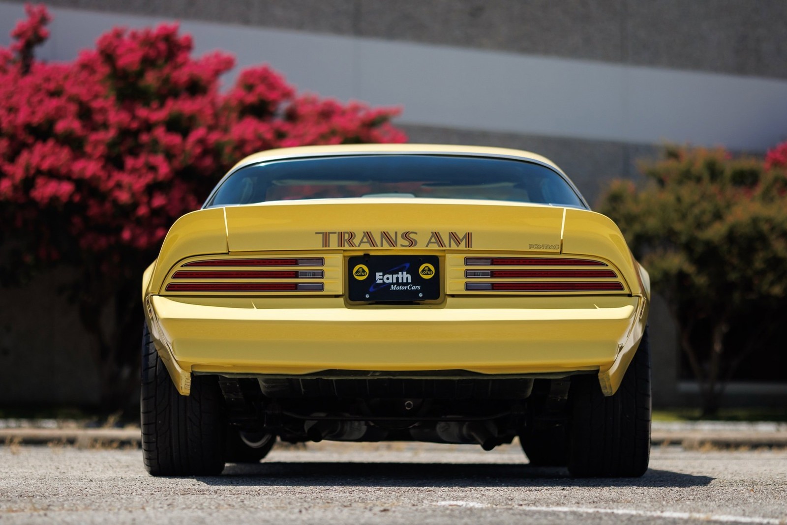 Pontiac-Firebird-1977-2D-Coupe-12