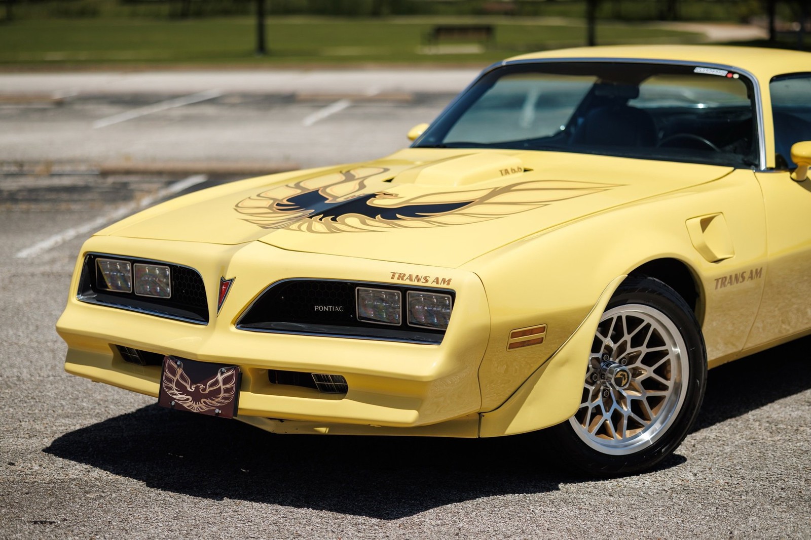 Pontiac-Firebird-1977-2D-Coupe-14