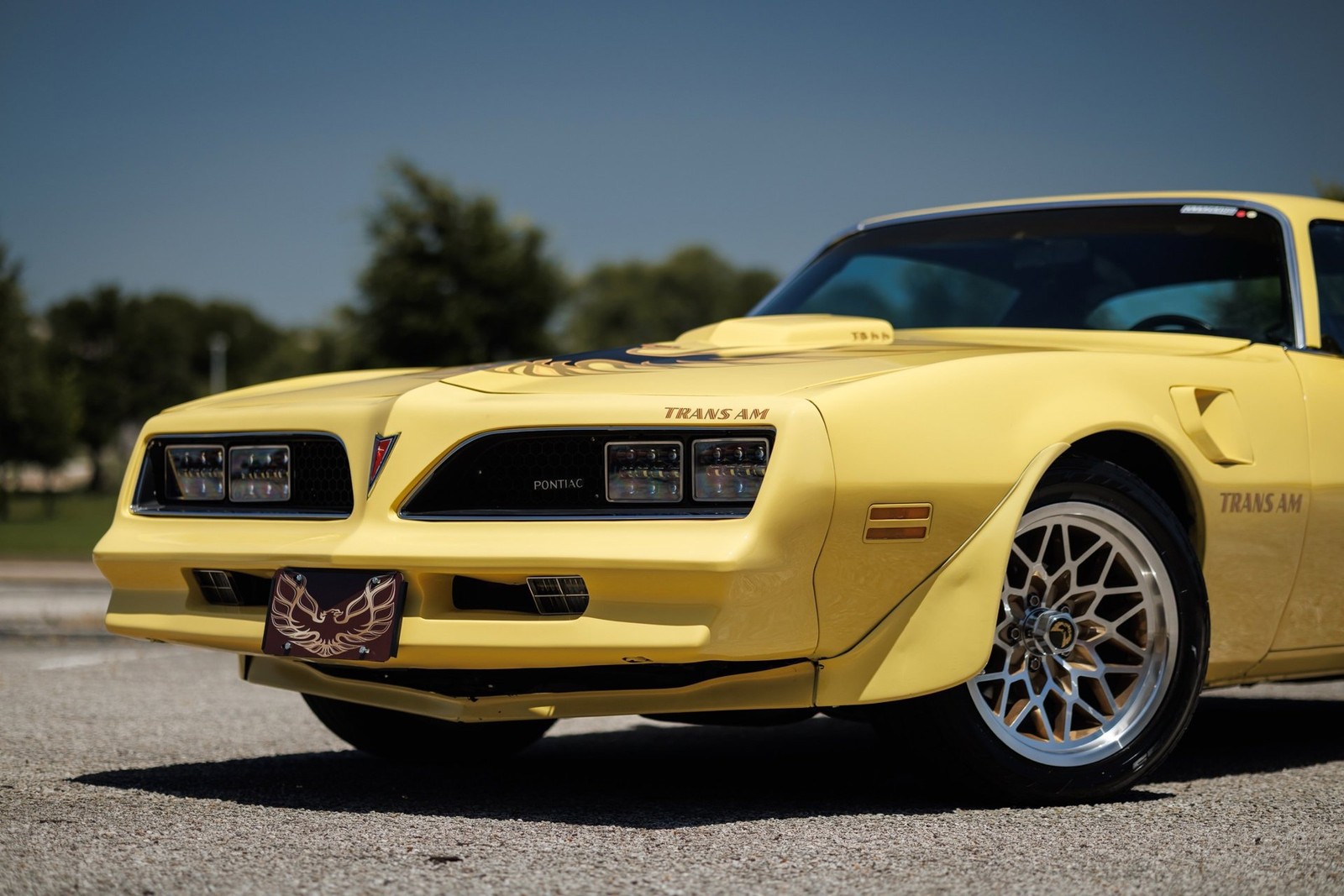 Pontiac-Firebird-1977-2D-Coupe-15