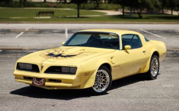 Pontiac-Firebird-1977-2D-Coupe-16