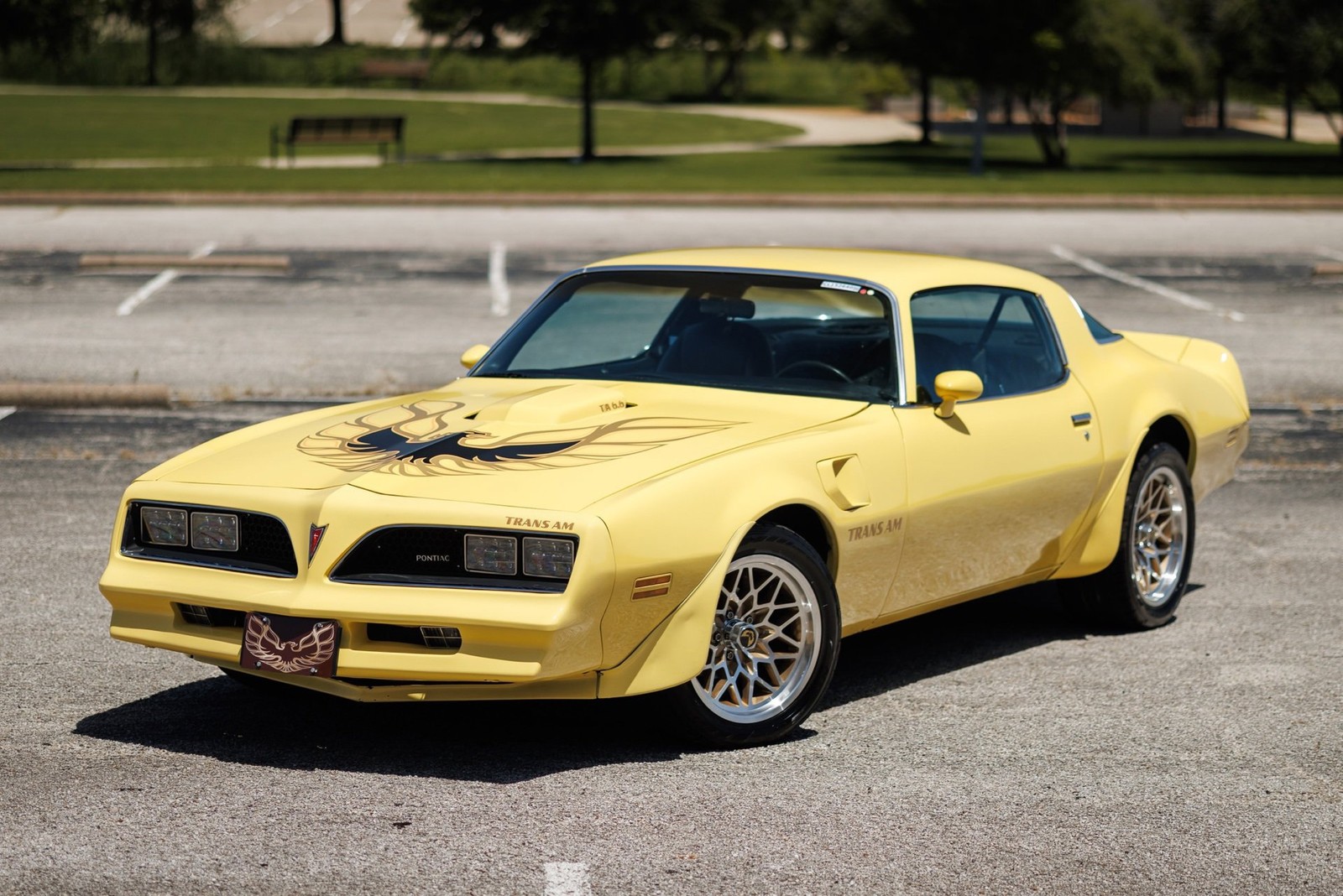 Pontiac-Firebird-1977-2D-Coupe-16