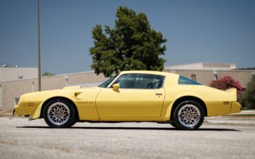 Pontiac-Firebird-1977-2D-Coupe-17