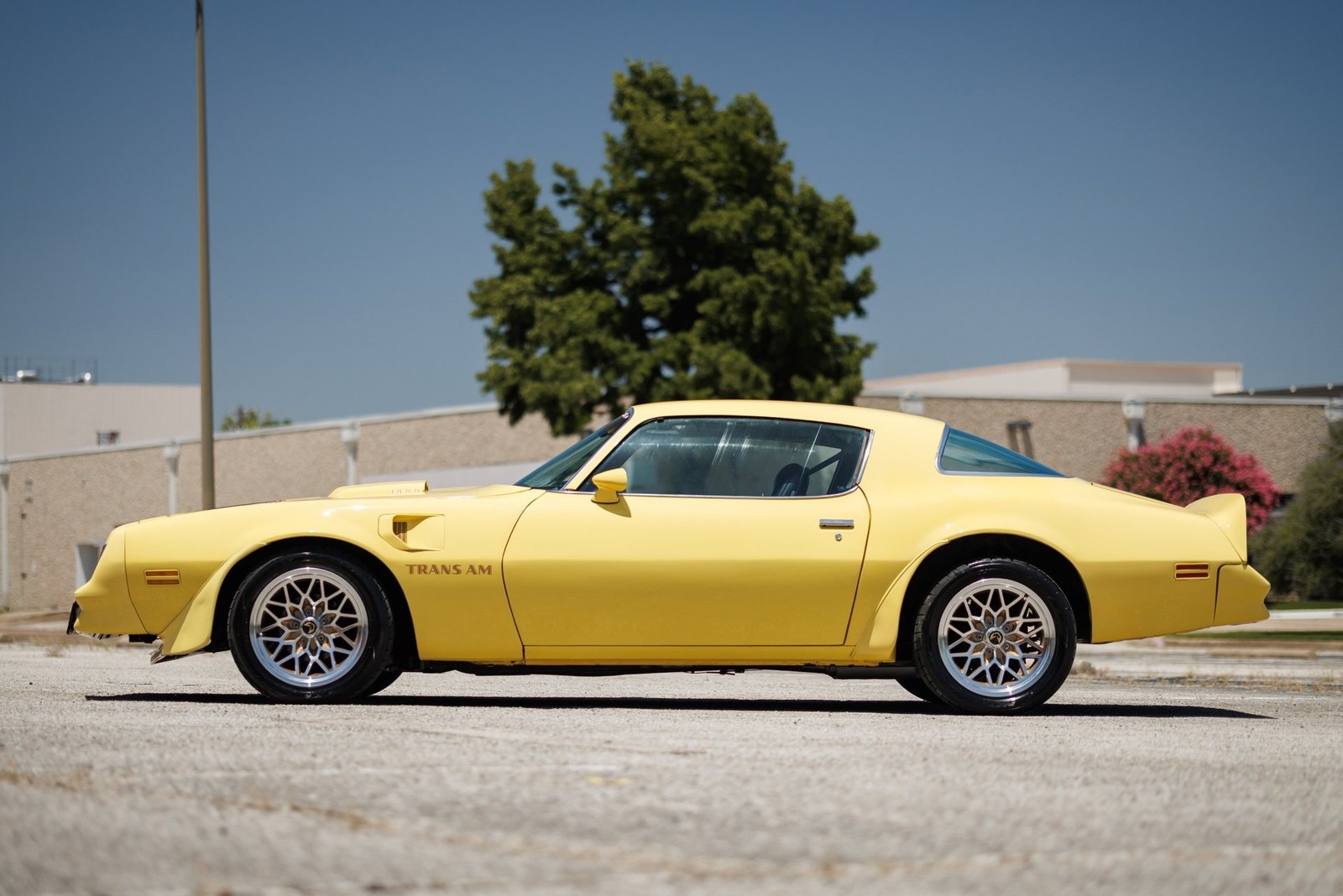 Pontiac-Firebird-1977-2D-Coupe-17
