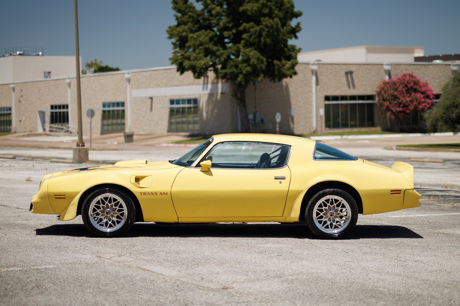 Pontiac-Firebird-1977-2D-Coupe-18