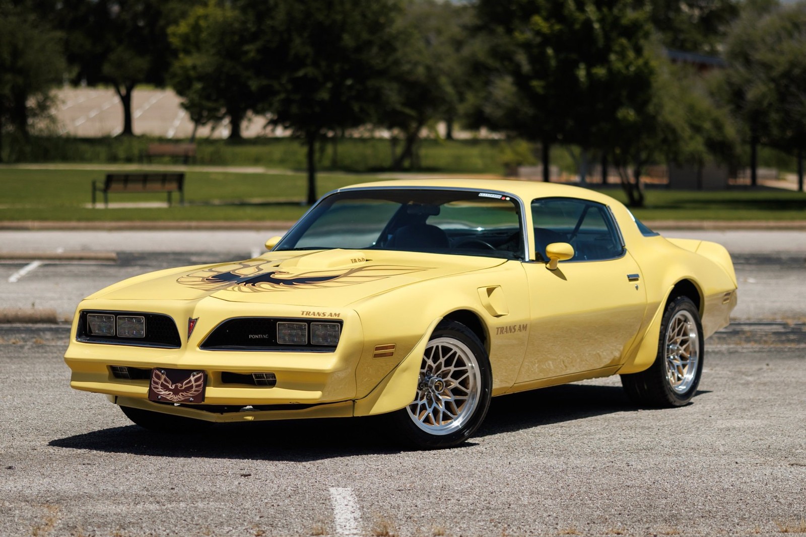 Pontiac-Firebird-1977-2D-Coupe-2