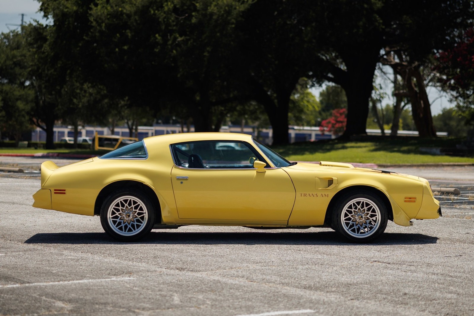 Pontiac-Firebird-1977-2D-Coupe-21