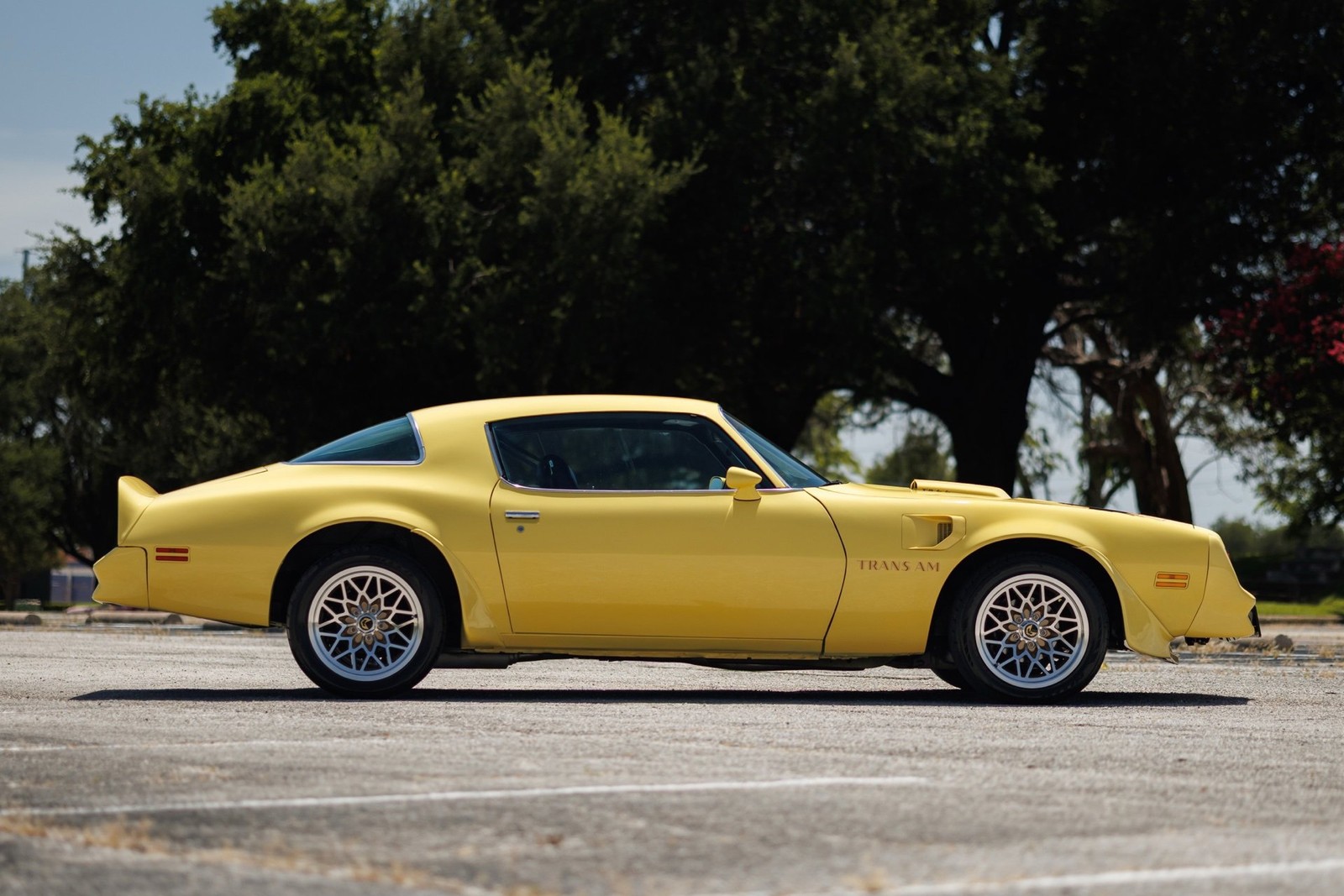Pontiac-Firebird-1977-2D-Coupe-22