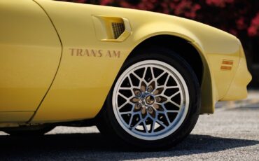 Pontiac-Firebird-1977-2D-Coupe-29