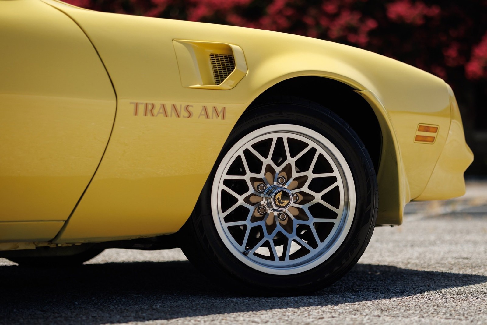 Pontiac-Firebird-1977-2D-Coupe-29