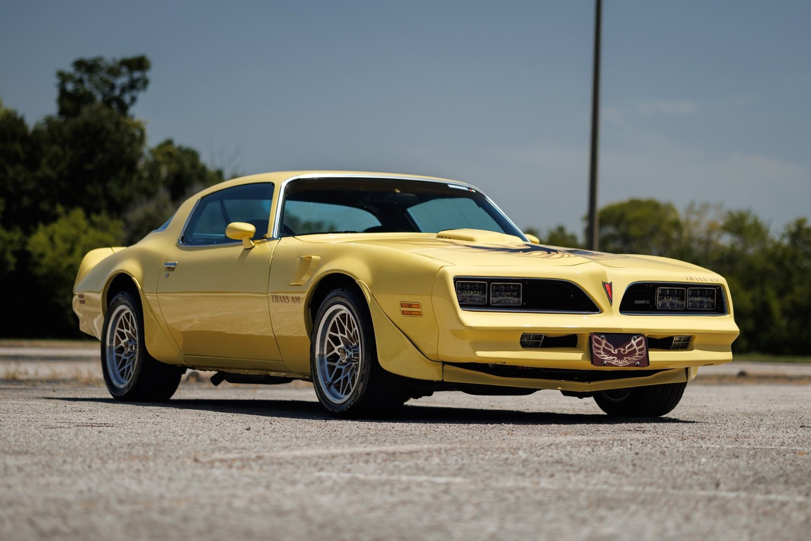 Pontiac-Firebird-1977-2D-Coupe-3
