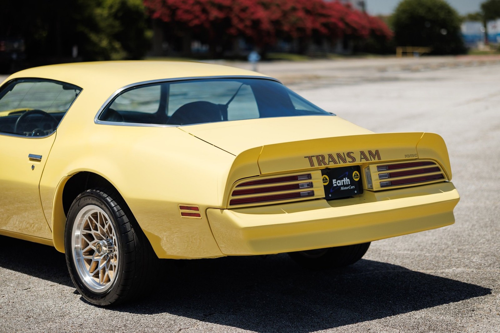 Pontiac-Firebird-1977-2D-Coupe-33