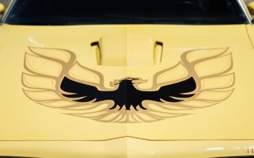 Pontiac-Firebird-1977-2D-Coupe-36