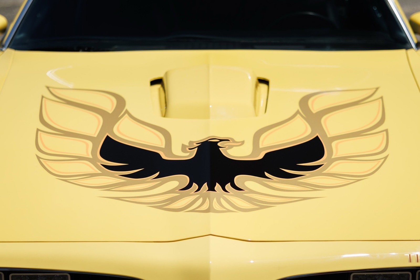 Pontiac-Firebird-1977-2D-Coupe-36
