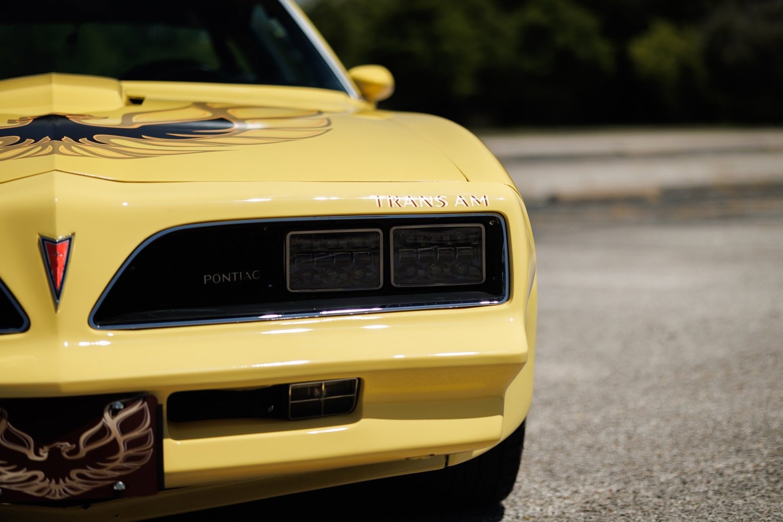 Pontiac-Firebird-1977-2D-Coupe-37