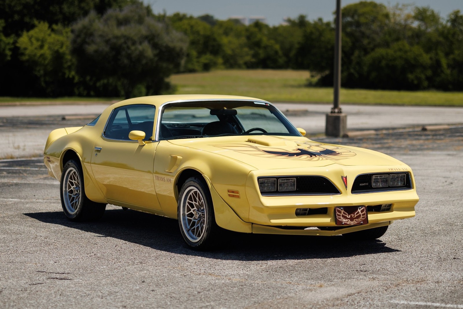 Pontiac-Firebird-1977-2D-Coupe-4