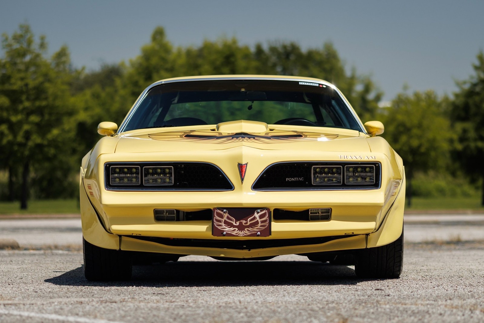 Pontiac-Firebird-1977-2D-Coupe-5