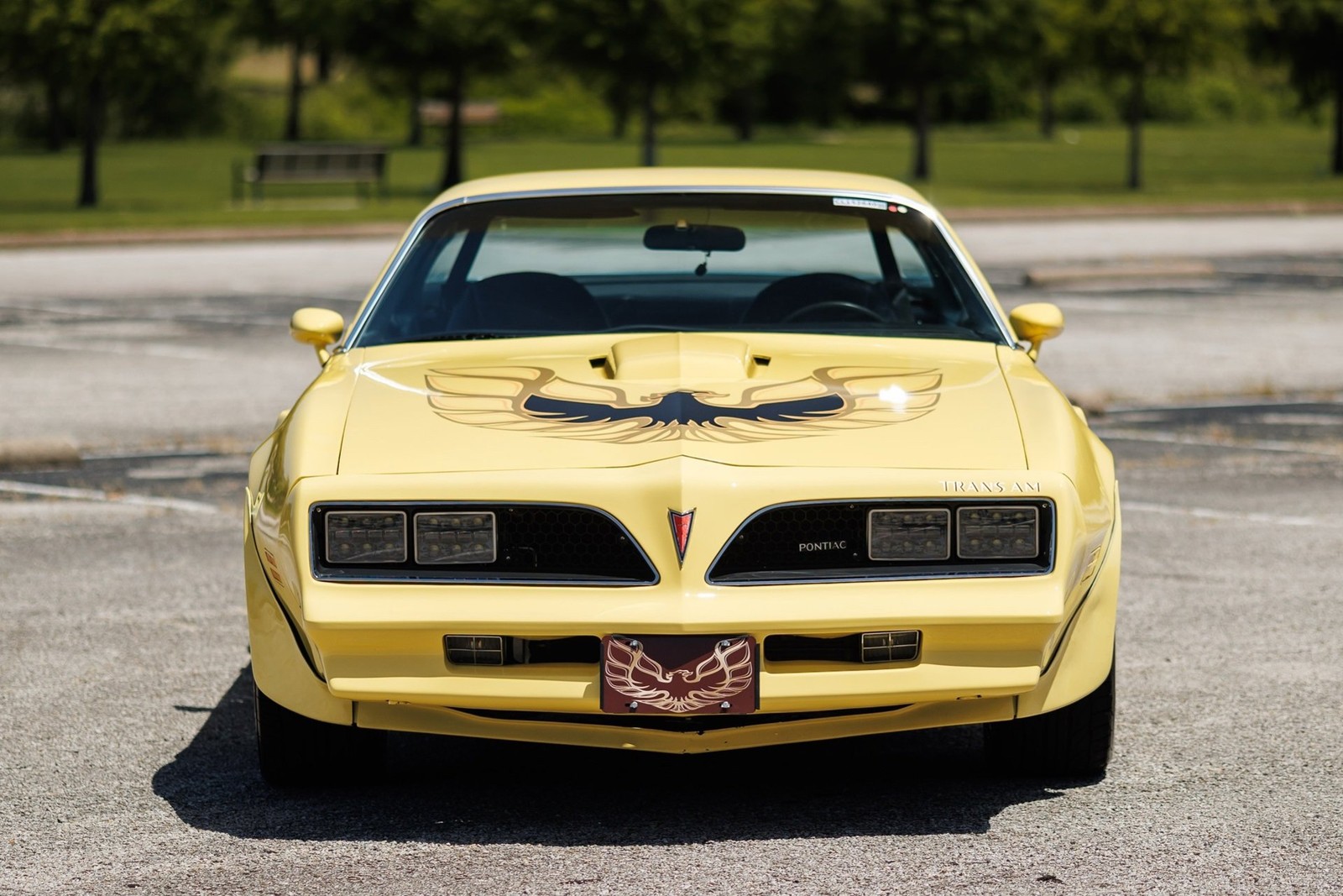 Pontiac-Firebird-1977-2D-Coupe-6