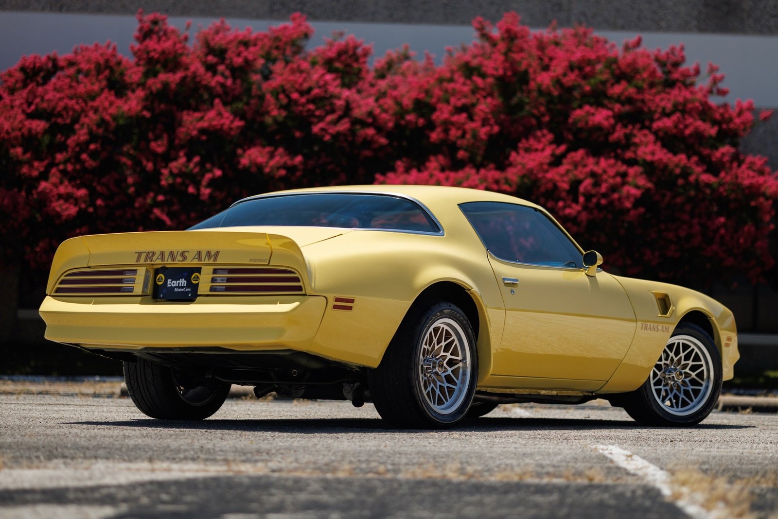 Pontiac-Firebird-1977-2D-Coupe-9